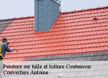 Peinture sur tuile et toiture