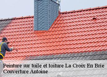 Peinture sur tuile et toiture