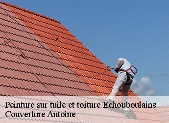 Peinture sur tuile et toiture  echouboulains-77830 Couverture Antoine