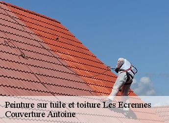 Peinture sur tuile et toiture  les-ecrennes-77820 Couverture Antoine