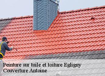Peinture sur tuile et toiture