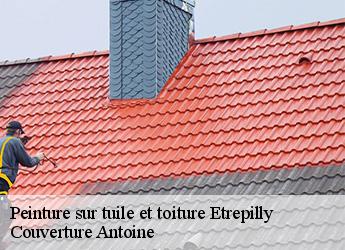 Peinture sur tuile et toiture