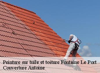 Peinture sur tuile et toiture  fontaine-le-port-77590 Couverture Antoine