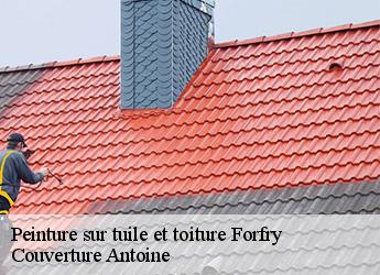 Peinture sur tuile et toiture
