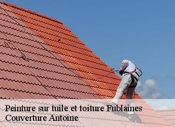 Peinture sur tuile et toiture  fublaines-77470 Couverture Antoine