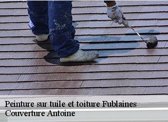 Peinture sur tuile et toiture  77470