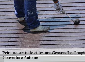 Peinture sur tuile et toiture  77165