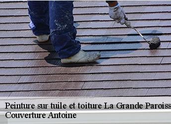 Peinture sur tuile et toiture 77130