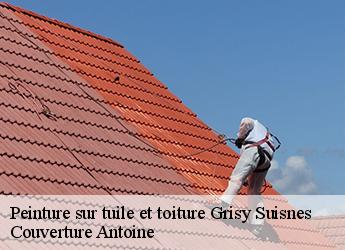 Peinture sur tuile et toiture  grisy-suisnes-77166 Couverture Antoine