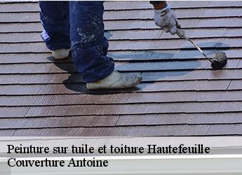Peinture sur tuile et toiture  77515