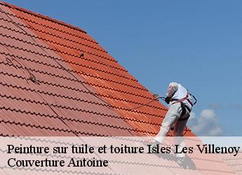 Peinture sur tuile et toiture  isles-les-villenoy-77450 Couverture Antoine