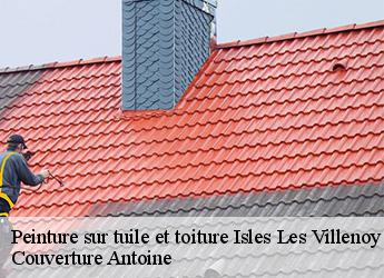 Peinture sur tuile et toiture