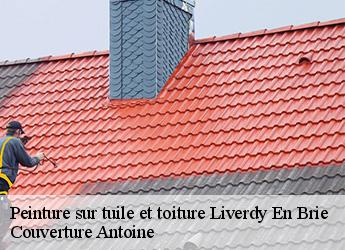 Peinture sur tuile et toiture
