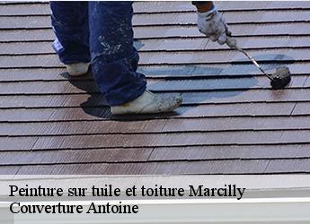 Peinture sur tuile et toiture  77139