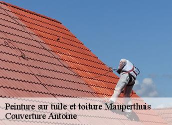 Peinture sur tuile et toiture  mauperthuis-77120 Couverture Antoine