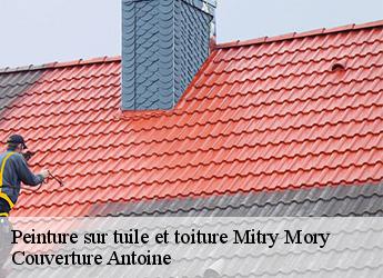 Peinture sur tuile et toiture