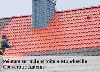 Peinture sur tuile et toiture
