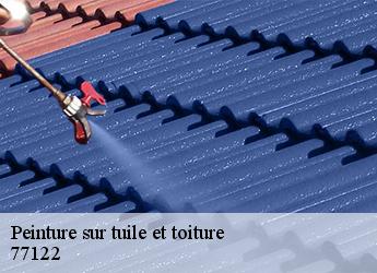 Peinture sur tuile et toiture 77122