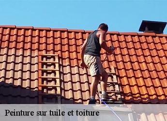 Peinture sur tuile et toiture 77122