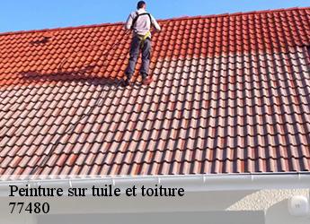 Peinture sur tuile et toiture  77480