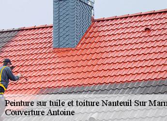 Peinture sur tuile et toiture