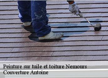 Peinture sur tuile et toiture  77140