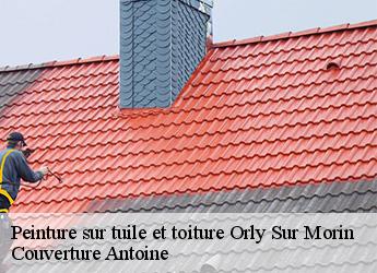 Peinture sur tuile et toiture