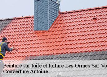 Peinture sur tuile et toiture