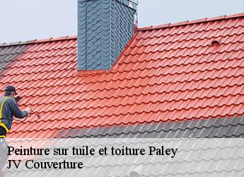 Peinture sur tuile et toiture paley-77710 JV Couverture