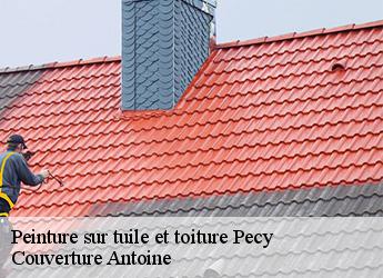 Peinture sur tuile et toiture
