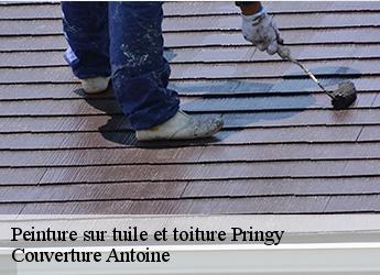 Peinture sur tuile et toiture  77310