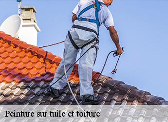 Peinture sur tuile et toiture