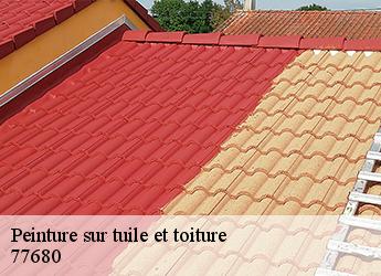 Peinture sur tuile et toiture