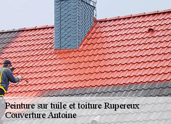 Peinture sur tuile et toiture