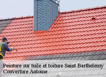 Peinture sur tuile et toiture