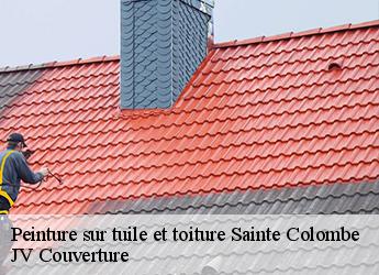 Peinture sur tuile et toiture sainte-colombe-77650 JV Couverture