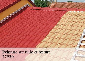 Peinture sur tuile et toiture