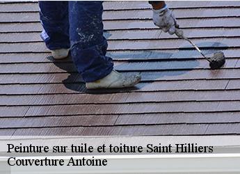 Peinture sur tuile et toiture  77160