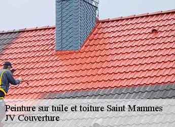 Peinture sur tuile et toiture saint-mammes-77670 JV Couverture