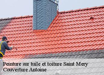 Peinture sur tuile et toiture