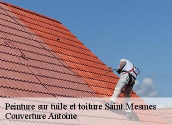 Peinture sur tuile et toiture  saint-mesmes-77410 Couverture Antoine
