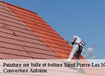 Peinture sur tuile et toiture  saint-pierre-les-nemours-77140 Couverture Antoine