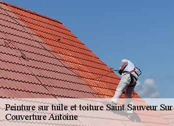 Peinture sur tuile et toiture  saint-sauveur-sur-ecole-77930 Couverture Antoine