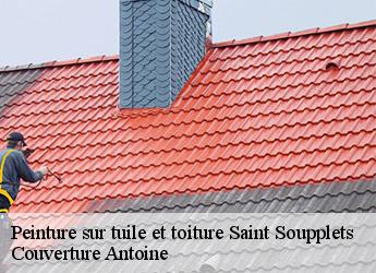 Peinture sur tuile et toiture