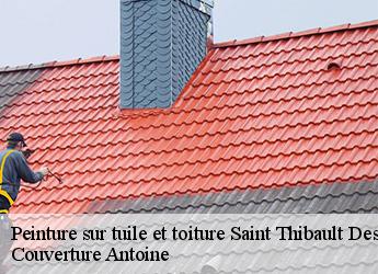 Peinture sur tuile et toiture