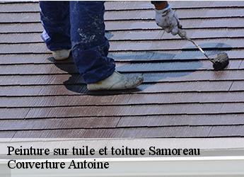 Peinture sur tuile et toiture  77210