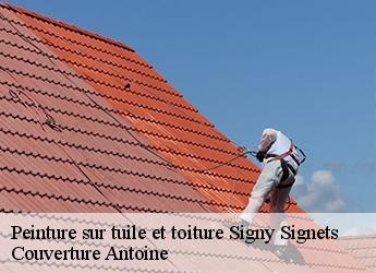 Peinture sur tuile et toiture  signy-signets-77640 Couverture Antoine