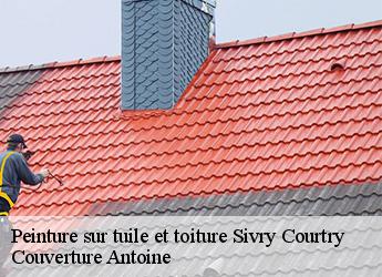 Peinture sur tuile et toiture