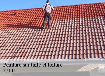 Peinture sur tuile et toiture  77111