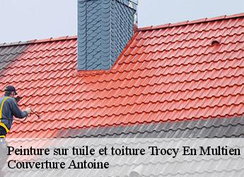 Peinture sur tuile et toiture